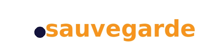 Mot sauvegarde orange avec point bleu foncé – sauvegarde Cloud et protection des données – telephonie-sur-ip.com